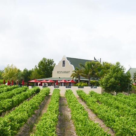 Skilpadvlei Wine Farm Stellenbosch Exteriér fotografie