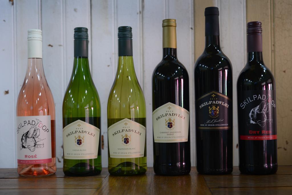 Skilpadvlei Wine Farm Stellenbosch Exteriér fotografie