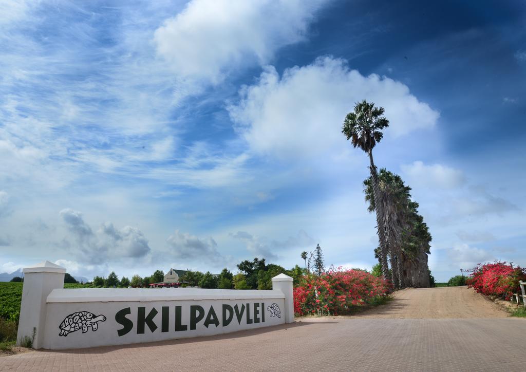 Skilpadvlei Wine Farm Stellenbosch Exteriér fotografie